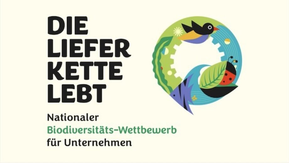 Bildschirm foto 2023 06 23 um 16 21 33