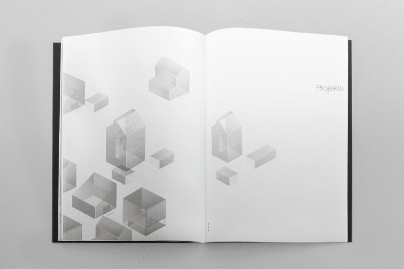 Super Vogel Architekt Buch 03