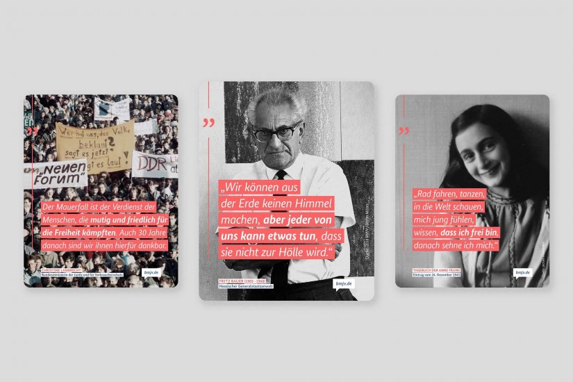 CASE super BMJV 10 motive