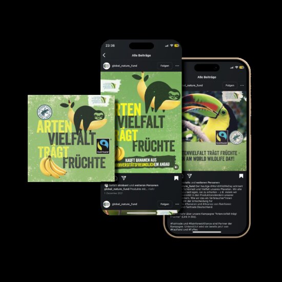 Casebildsuper global nature fund biodivers social media 06